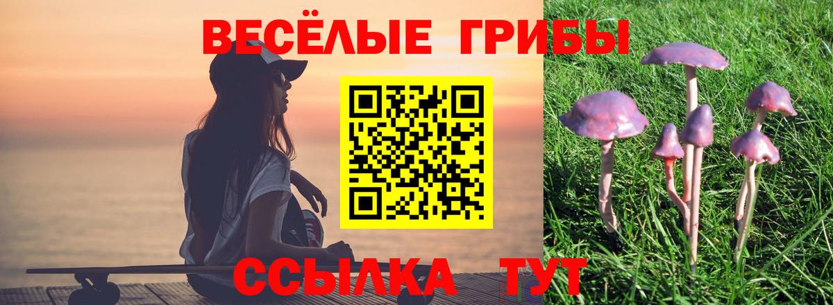 Псилоцибиновые грибы Magic Shrooms  Галлюциногенные грибы GOLDEN TEACHER  Вход с VPN  Тихвин 
