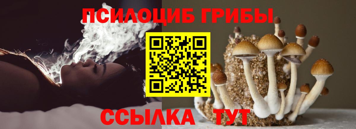 Псилоцибиновые грибы мицелий Тихвин